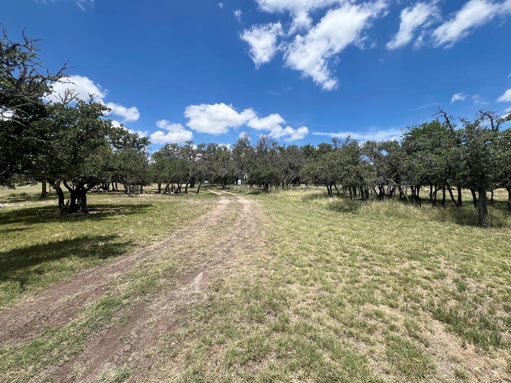 5078 Friedrich Road Fredericksburg, TX 78624 - Photo 46 of 66