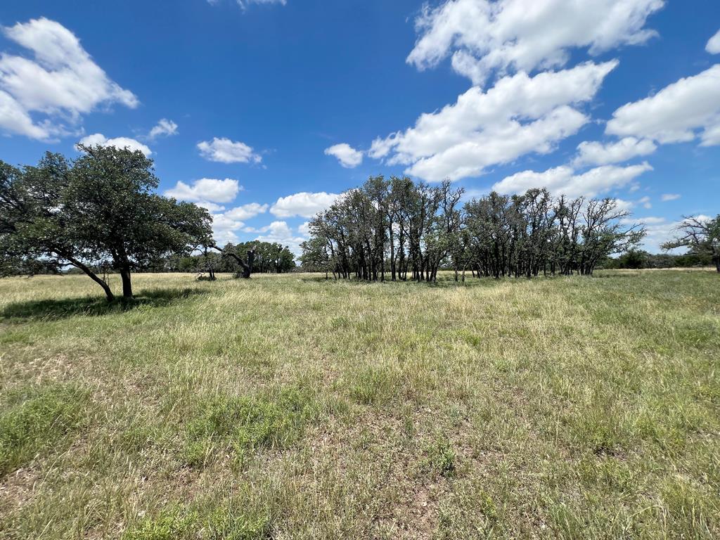 5078 Friedrich Road Fredericksburg, TX 78624 - Photo 49 of 66