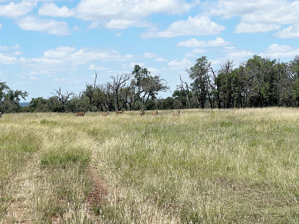 5078 Friedrich Road Fredericksburg, TX 78624 - Photo 50 of 66