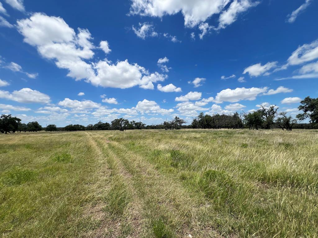 5078 Friedrich Road Fredericksburg, TX 78624 - Photo 9 of 66