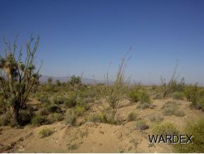 Lot 803 South Kit Carson Road Yucca, AZ 86438 - Photo 2 of 5 Additional Photo