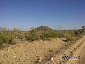 Lot 803 South Kit Carson Road Yucca, AZ 86438 - Photo 3 of 5 Additional Photo