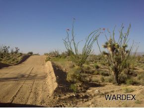 Lot 803 South Kit Carson Road Yucca, AZ 86438 - Photo 5 of 5 Additional Photo