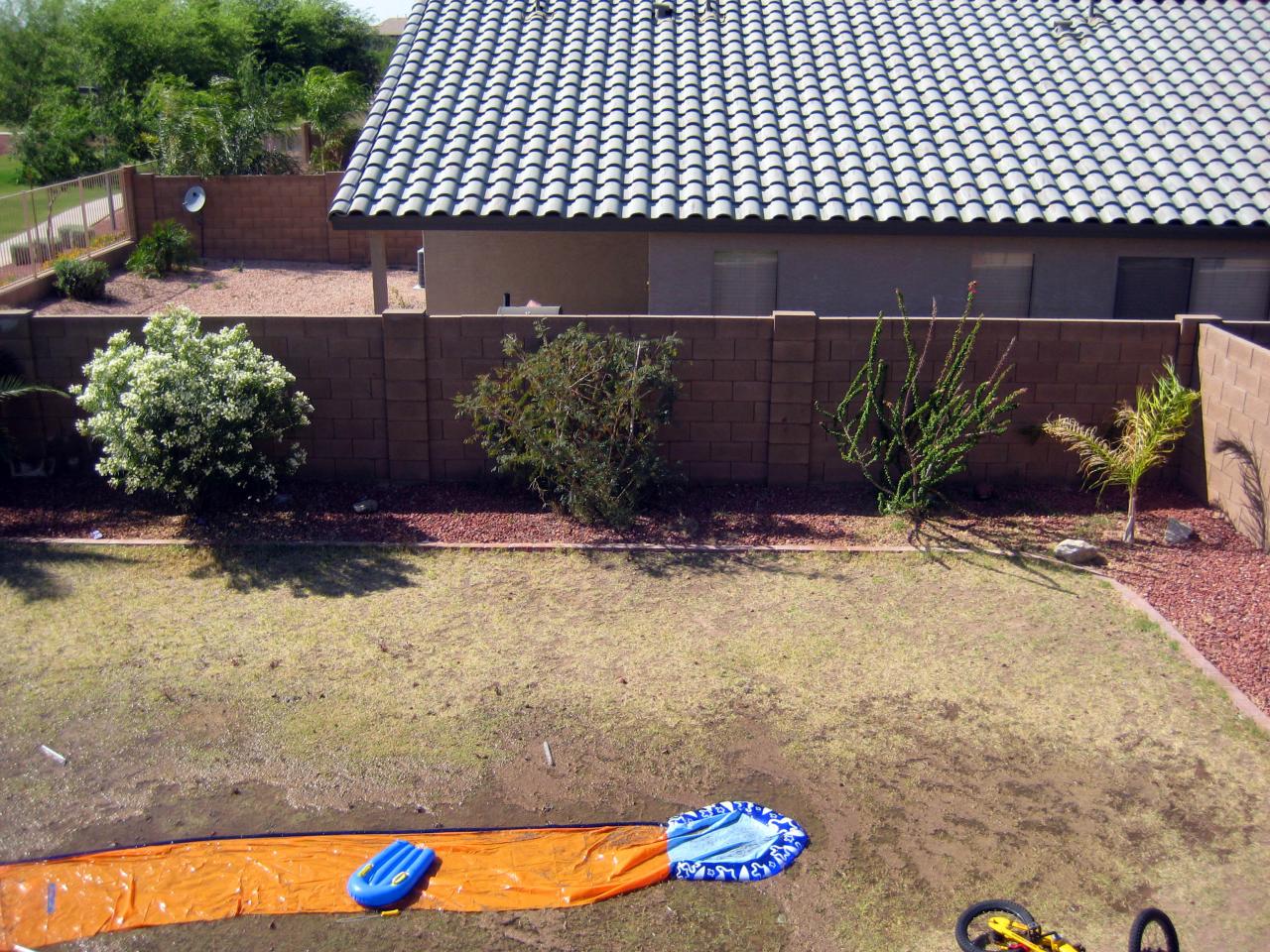 4626 West Beverly Road Laveen, AZ 85339 - Photo 8 of 11 Backyard