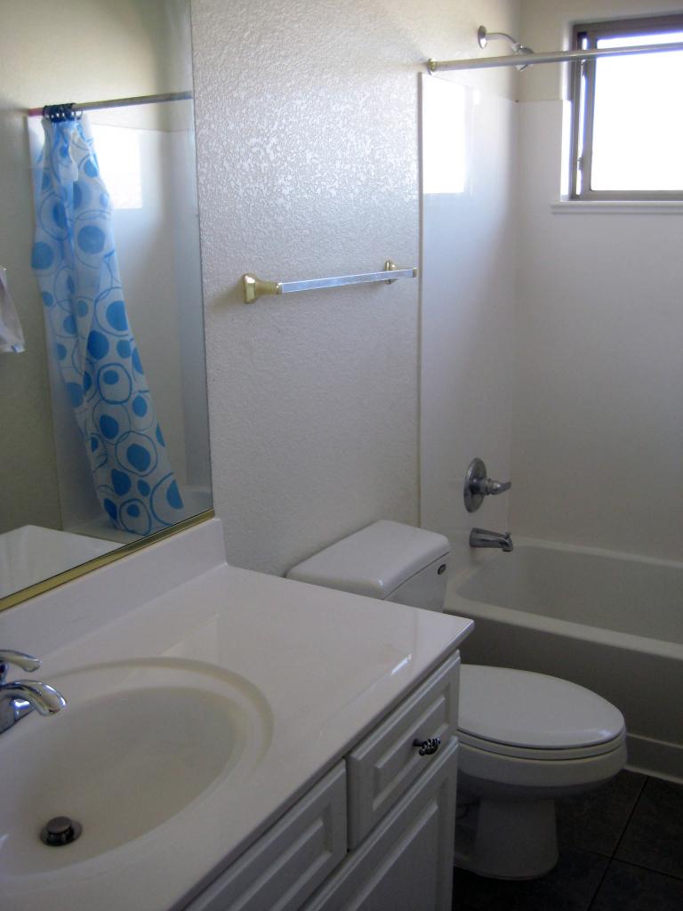4626 West Beverly Road Laveen, AZ 85339 - Photo 10 of 11 Hall Bath