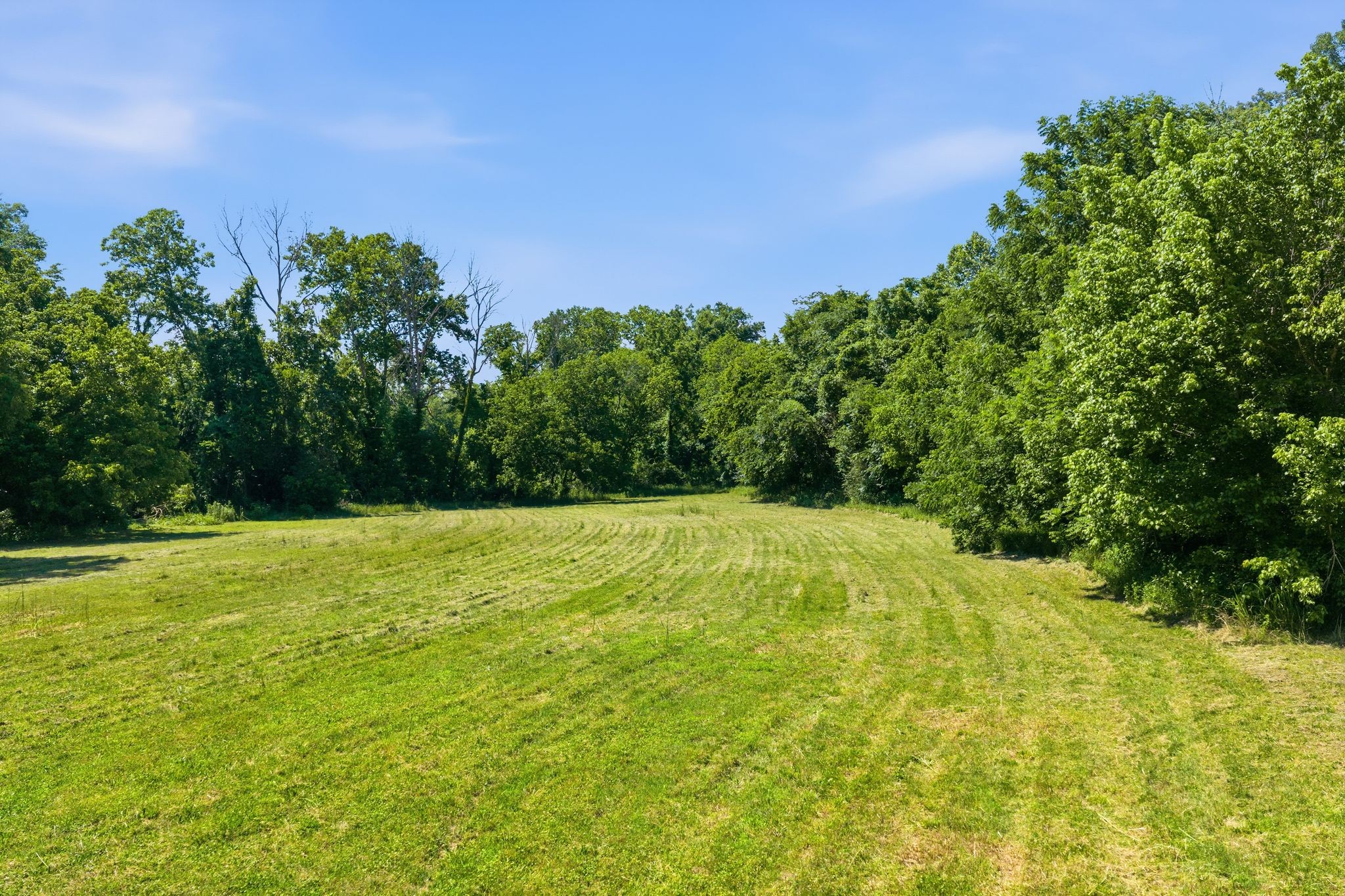 1075 Dog Creek Road Kingston Springs, TN 37082 - Photo 46 of 58