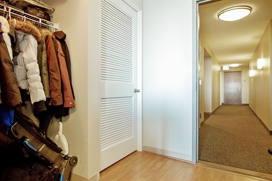 2 East Erie Street, Unit 3906 Chicago, IL 60611 - Photo 2 of 13 a view of walk in closet