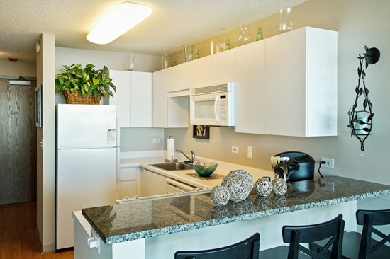 2 East Erie Street, Unit 3906 Chicago, IL 60611 - Photo 6 of 13 a kitchen with a sink refrigerator and cabinets