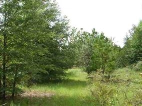 Xxx Boykin Road, Unit X Tallahassee, FL 32317 - Photo 1 of 1 Gallery Image 1