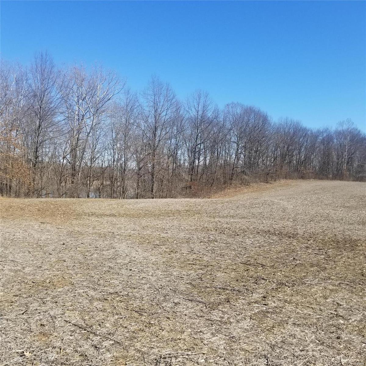 14292 Shipman Road Shipman, IL 62685 - Photo 1 of 3