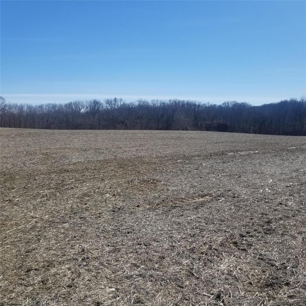 14292 Shipman Road Shipman, IL 62685 - Photo 2 of 3