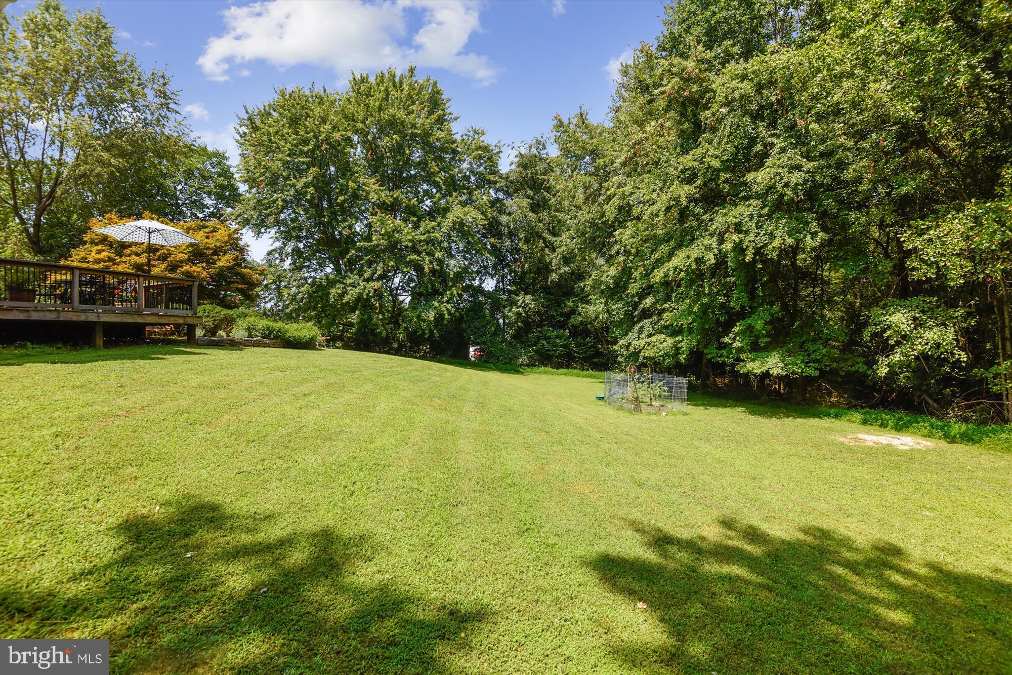 833 Utterback Store Road Great Falls, VA 22066 - Photo 6 of 98 Back Yard