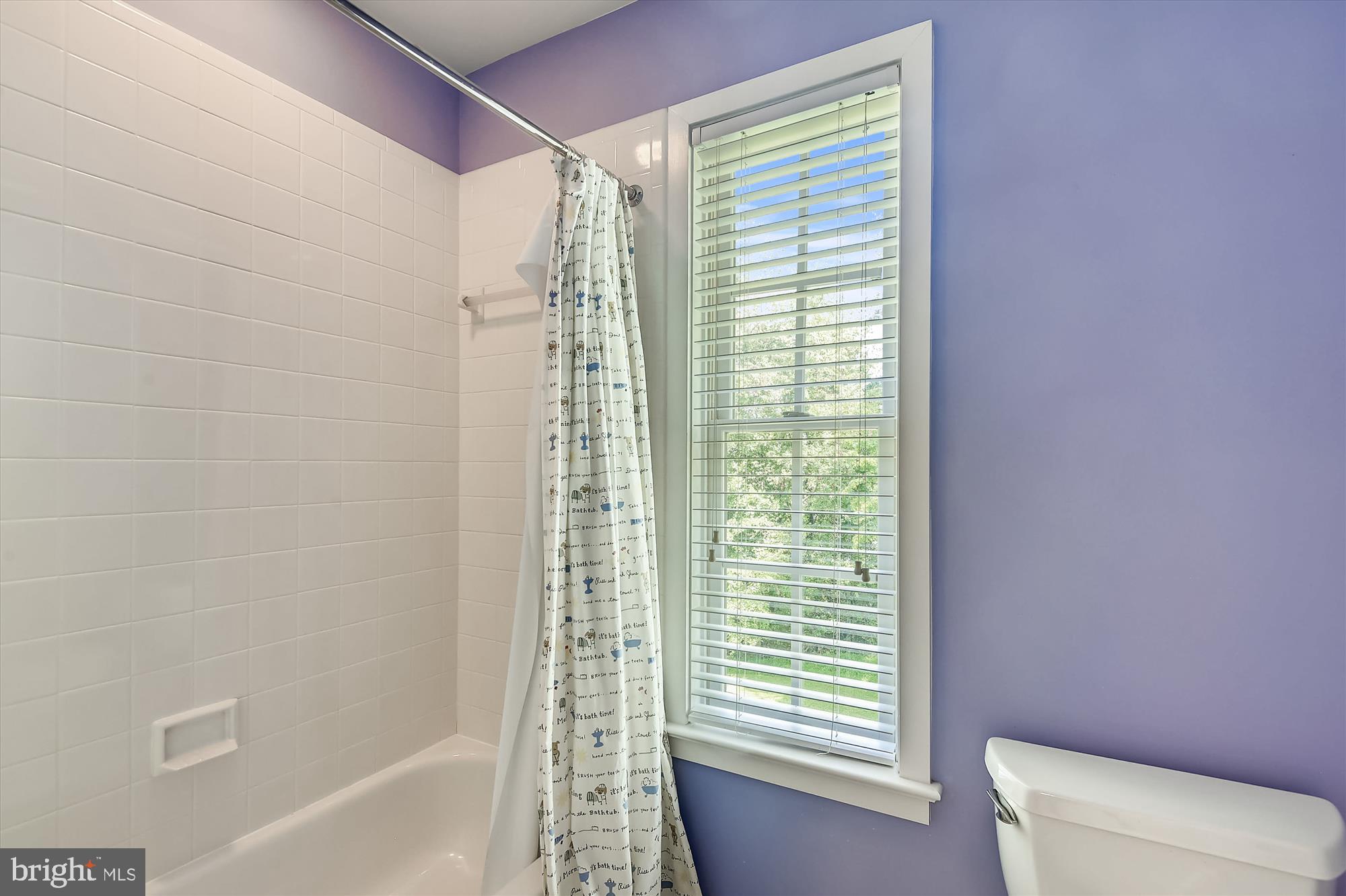 833 Utterback Store Road Great Falls, VA 22066 - Photo 63 of 98 Upper Level Bath
