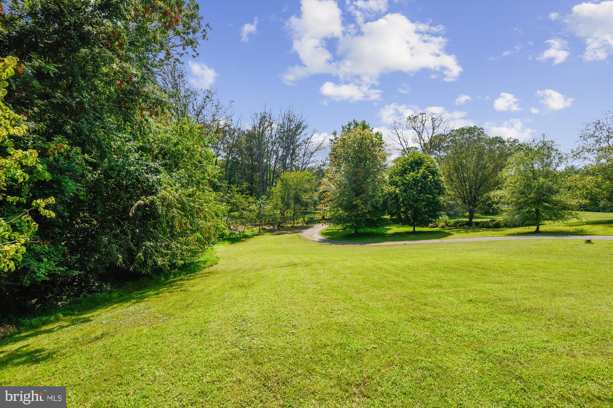 833 Utterback Store Road Great Falls, VA 22066 - Photo 8 of 98 Exterior Front Yard