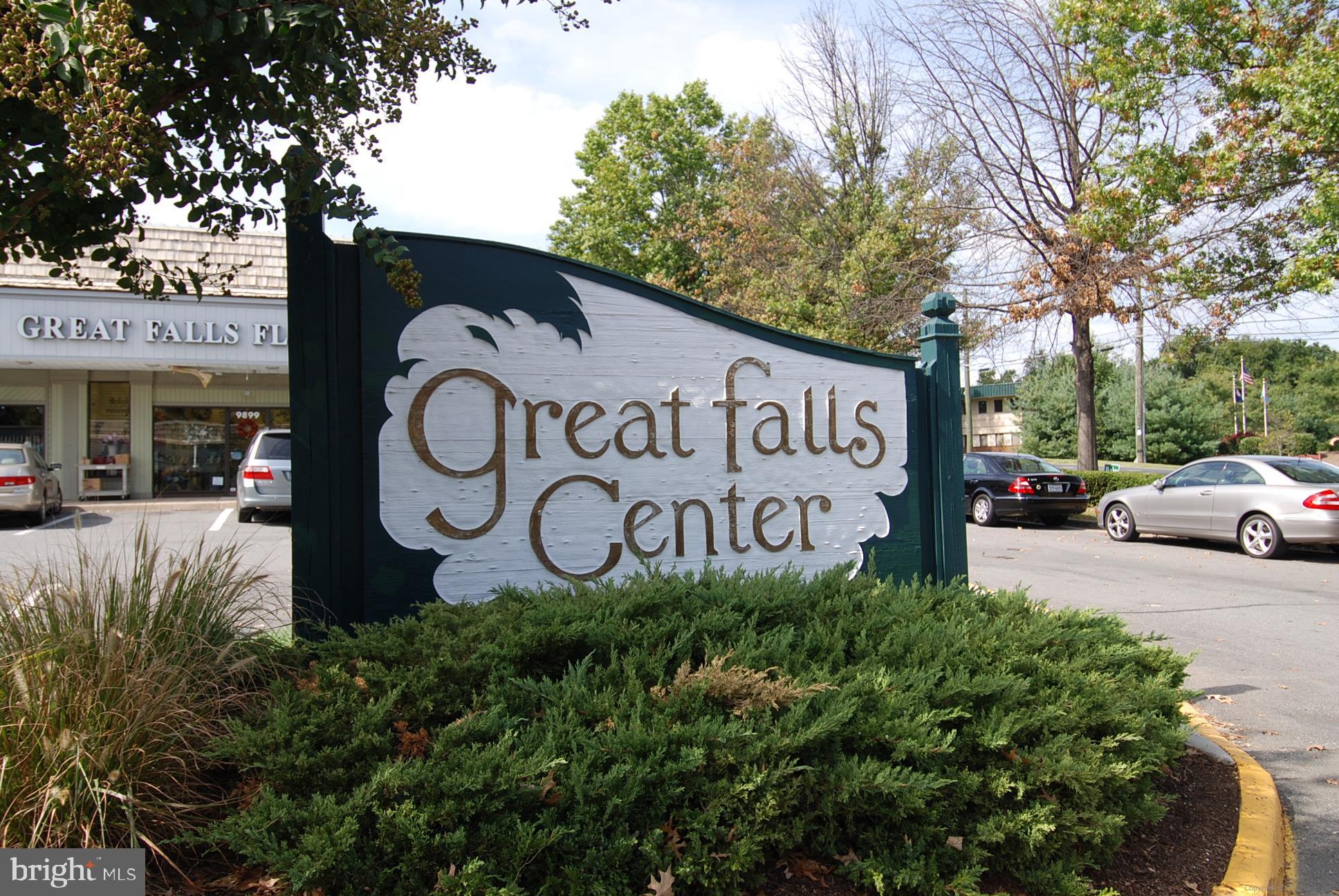 833 Utterback Store Road Great Falls, VA 22066 - Photo 84 of 98 Great Falls Center