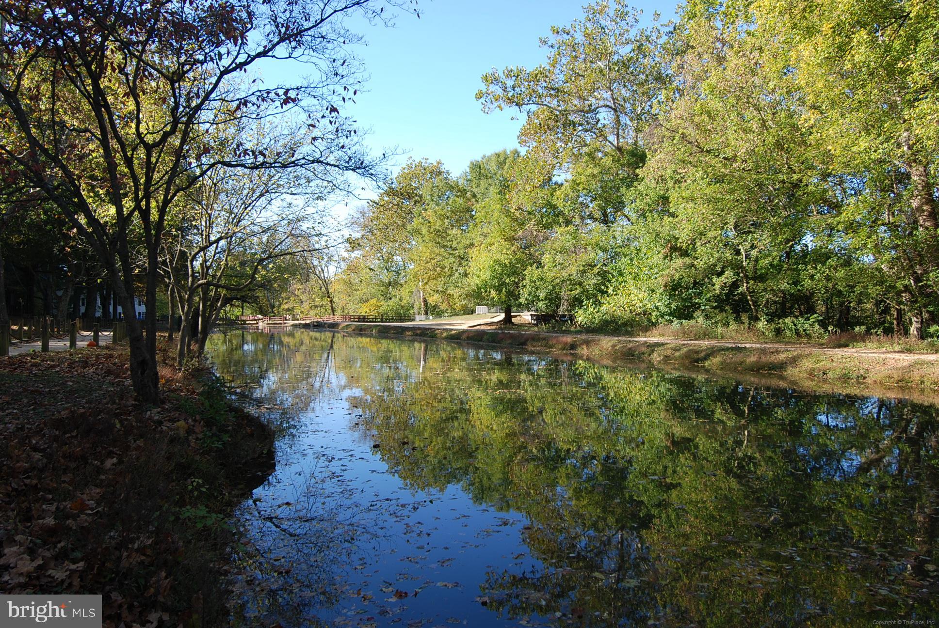 833 Utterback Store Road Great Falls, VA 22066 - Photo 92 of 98 Great Falls Park