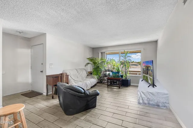 a living room with furniture and a potted plant