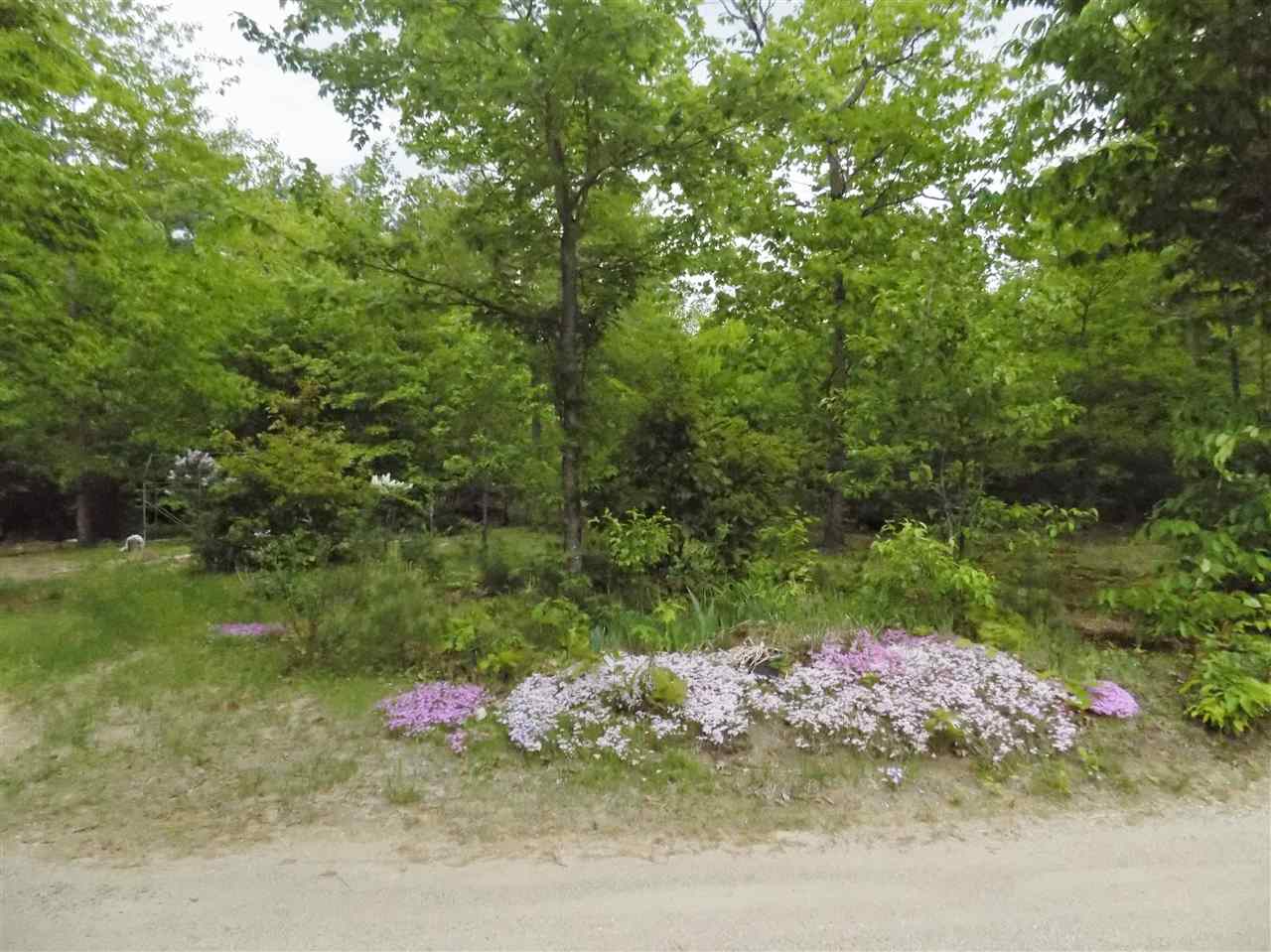 44 Country Drive Conway, NH 03813 - Photo 2 of 26 Gallery Image 2
