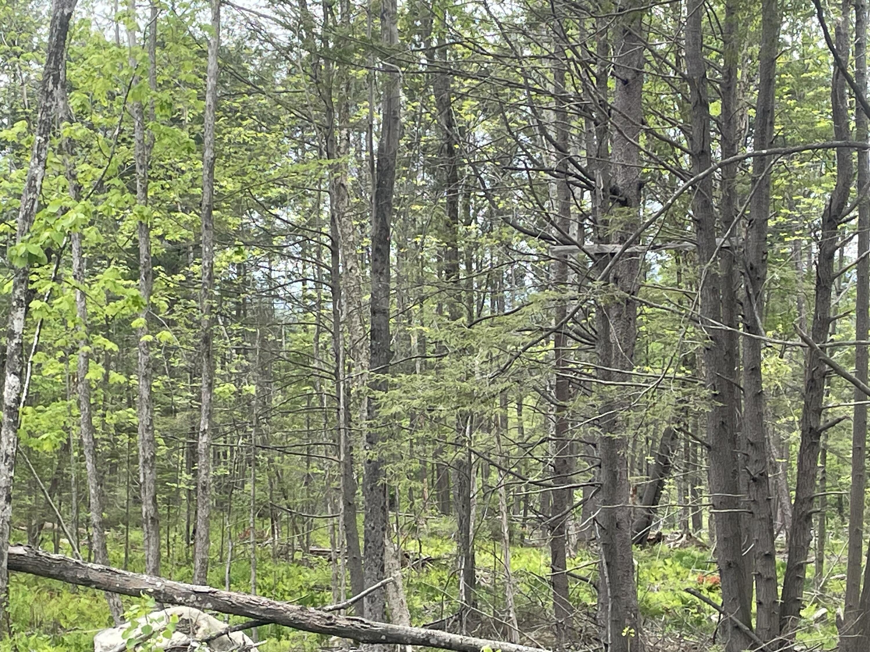 13a Zions Hill Road Chesterville, ME 04938 - Photo 13 of 14 IMG_7495