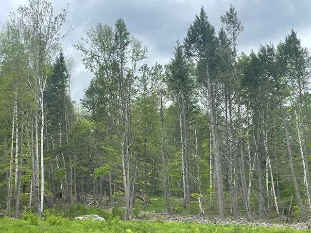 $199,500 | 13a Zions Hill Road, Chesterville, ME 04938