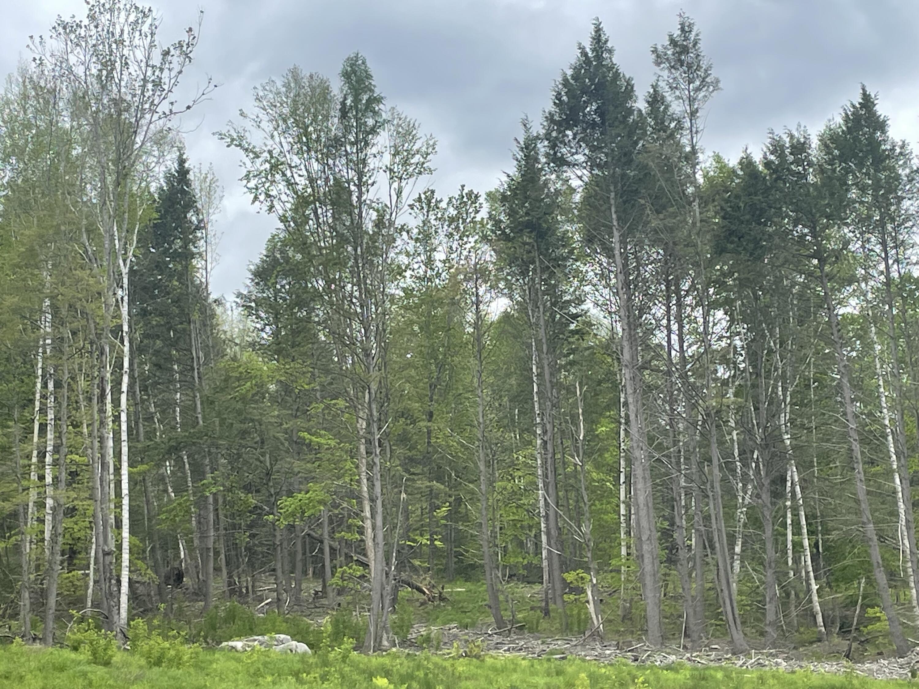 13a Zions Hill Road Chesterville, ME 04938 - Photo 5 of 14 IMG_7493