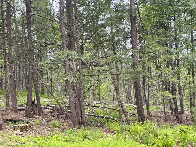 $199,500 | 13a Zions Hill Road, Chesterville, ME 04938