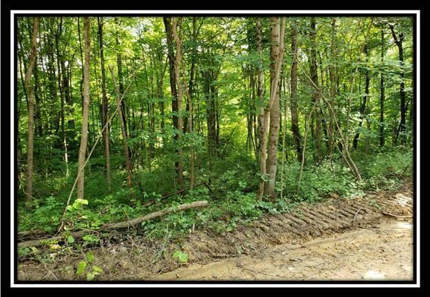 0 Pedigo Ridge Road, Unit TRACT 5) Nelsonville, OH 45764 - Photo 13 of 56 image012