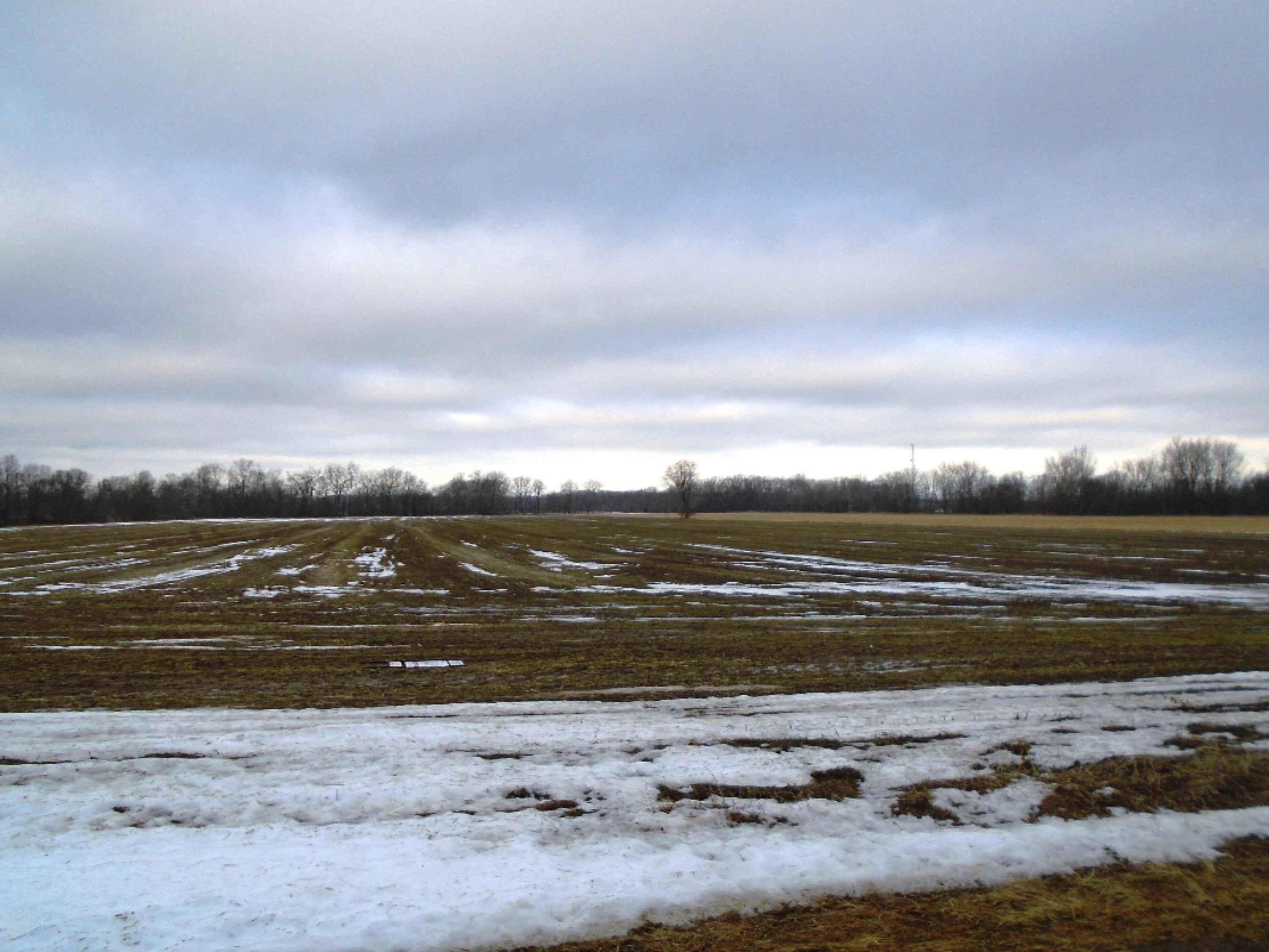 0 Holden Road Baroda, MI 49101 - Photo 6 of 7 DSC00053