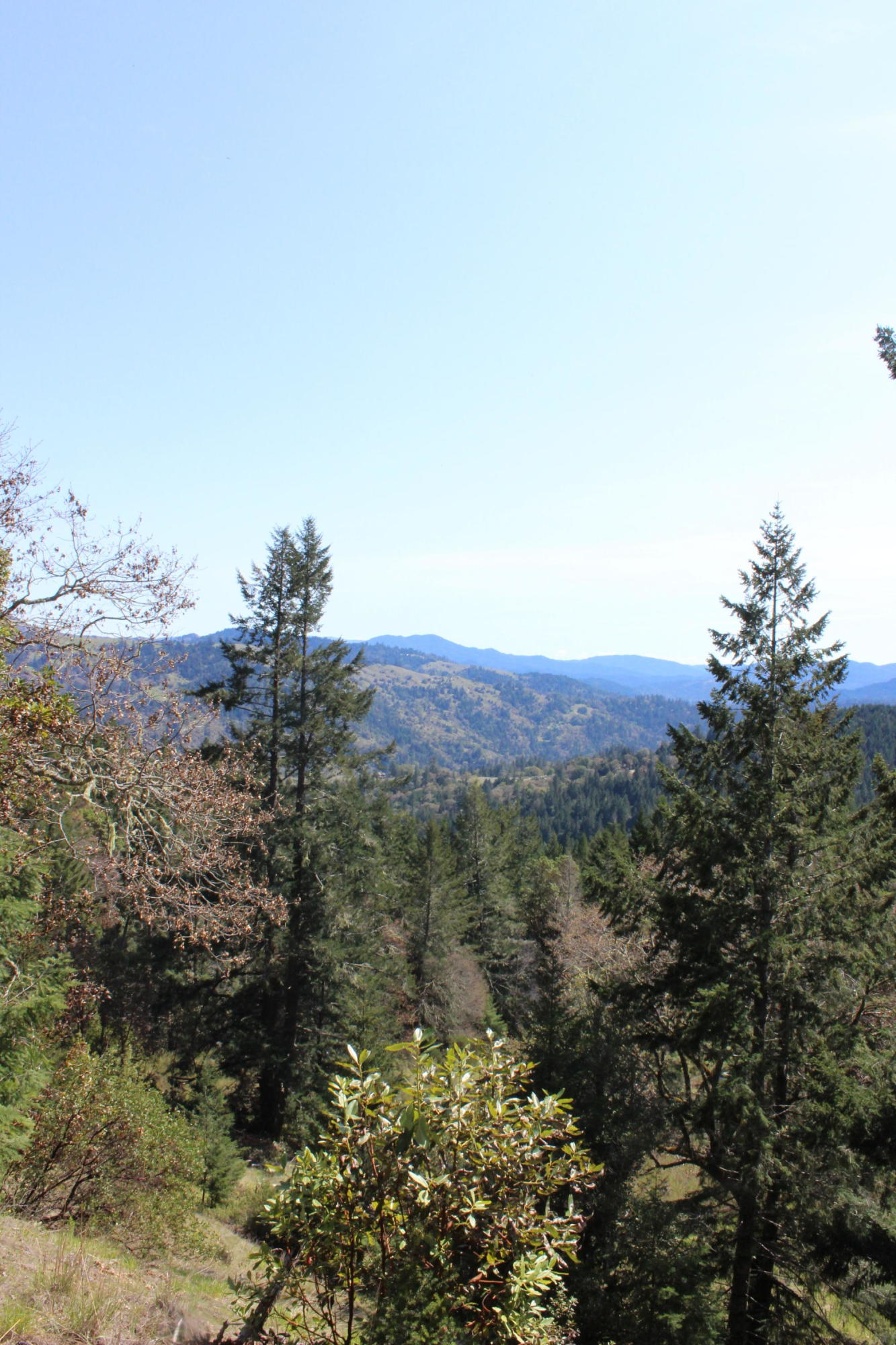 5050 Wood Ranch Road Garberville, CA 95542 - Photo 19 of 22 2020_04_03_1396