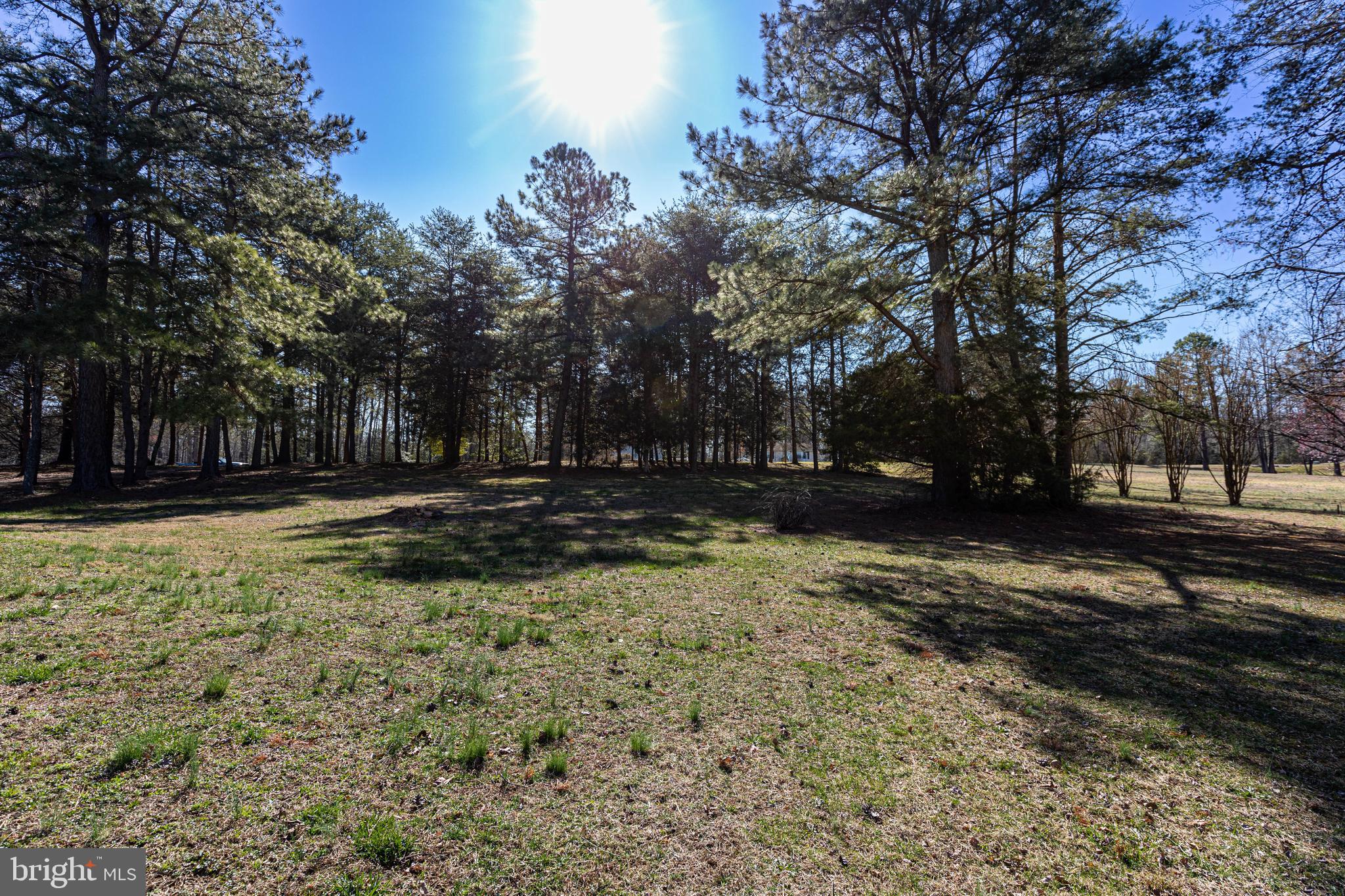 6028 Towles Mill Road Partlow, VA 22534 - Photo 52 of 56 Gallery Image 52