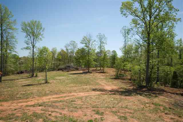 8210 North Tigerville Road Travelers Rest, SC 29690 - Photo 11 of 25 Gallery Image 11