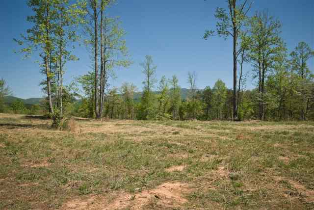 8210 North Tigerville Road Travelers Rest, SC 29690 - Photo 12 of 25 Gallery Image 12