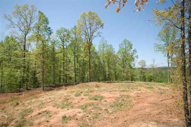 8210 North Tigerville Road Travelers Rest, SC 29690 - Photo 13 of 25 Gallery Image 13