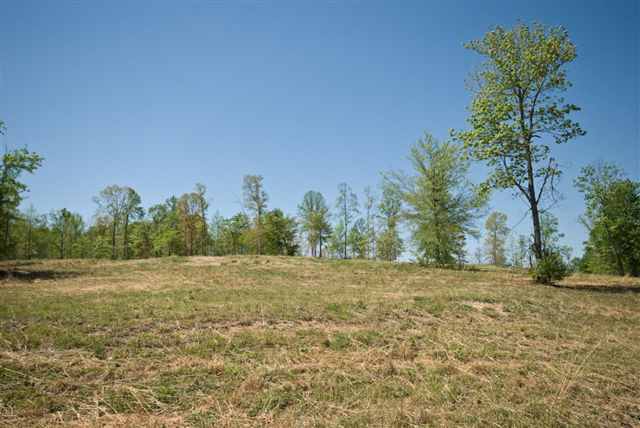 8210 North Tigerville Road Travelers Rest, SC 29690 - Photo 15 of 25 Gallery Image 15
