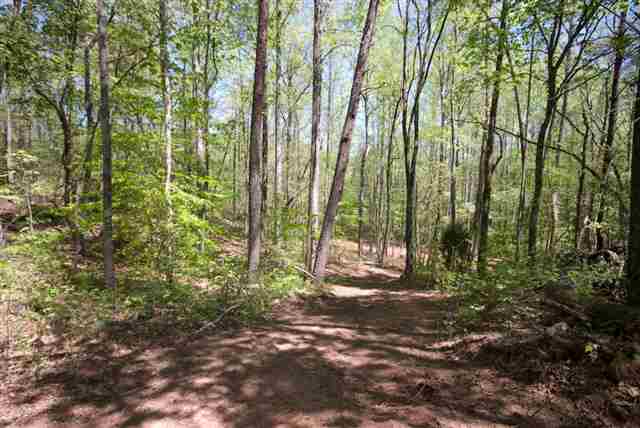 8210 North Tigerville Road Travelers Rest, SC 29690 - Photo 17 of 25 Gallery Image 17