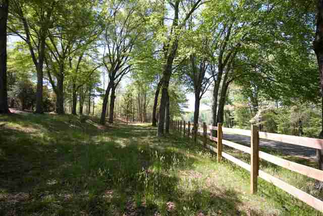 8210 North Tigerville Road Travelers Rest, SC 29690 - Photo 3 of 25 Gallery Image 3