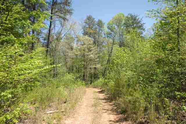 8210 North Tigerville Road Travelers Rest, SC 29690 - Photo 21 of 25 Gallery Image 21