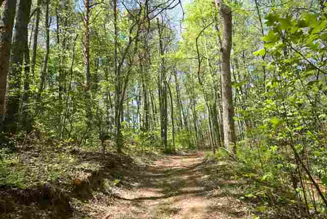 8210 North Tigerville Road Travelers Rest, SC 29690 - Photo 22 of 25 Gallery Image 22