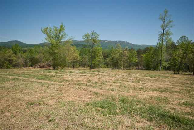 8210 North Tigerville Road Travelers Rest, SC 29690 - Photo 23 of 25 Gallery Image 23