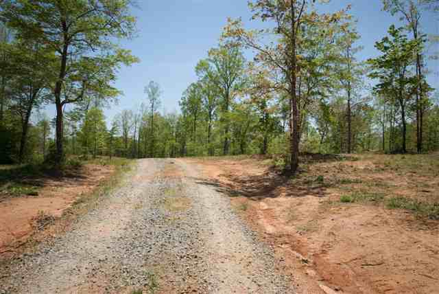 8210 North Tigerville Road Travelers Rest, SC 29690 - Photo 24 of 25 Gallery Image 24