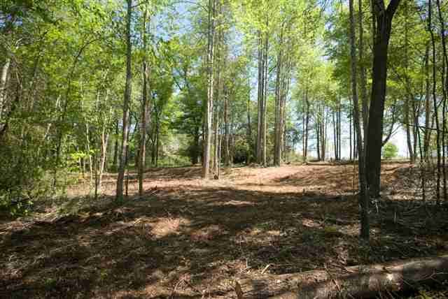 8210 North Tigerville Road Travelers Rest, SC 29690 - Photo 4 of 25 Gallery Image 4