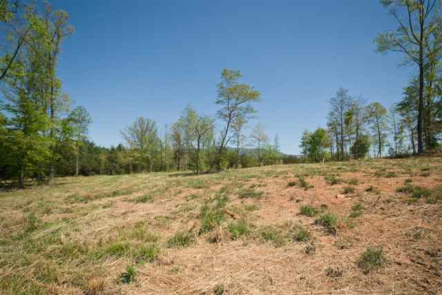 8210 North Tigerville Road Travelers Rest, SC 29690 - Photo 8 of 25 Gallery Image 8
