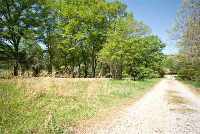 8210 North Tigerville Road Travelers Rest, SC 29690 - Photo 9 of 25 Gallery Image 9