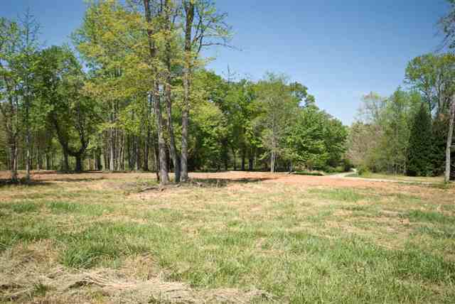 8210 North Tigerville Road Travelers Rest, SC 29690 - Photo 10 of 25 Gallery Image 10