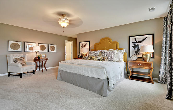 7003 Carolina Rose Road Hanahan, SC 29410 - Photo 8 of 34 master bedroom2