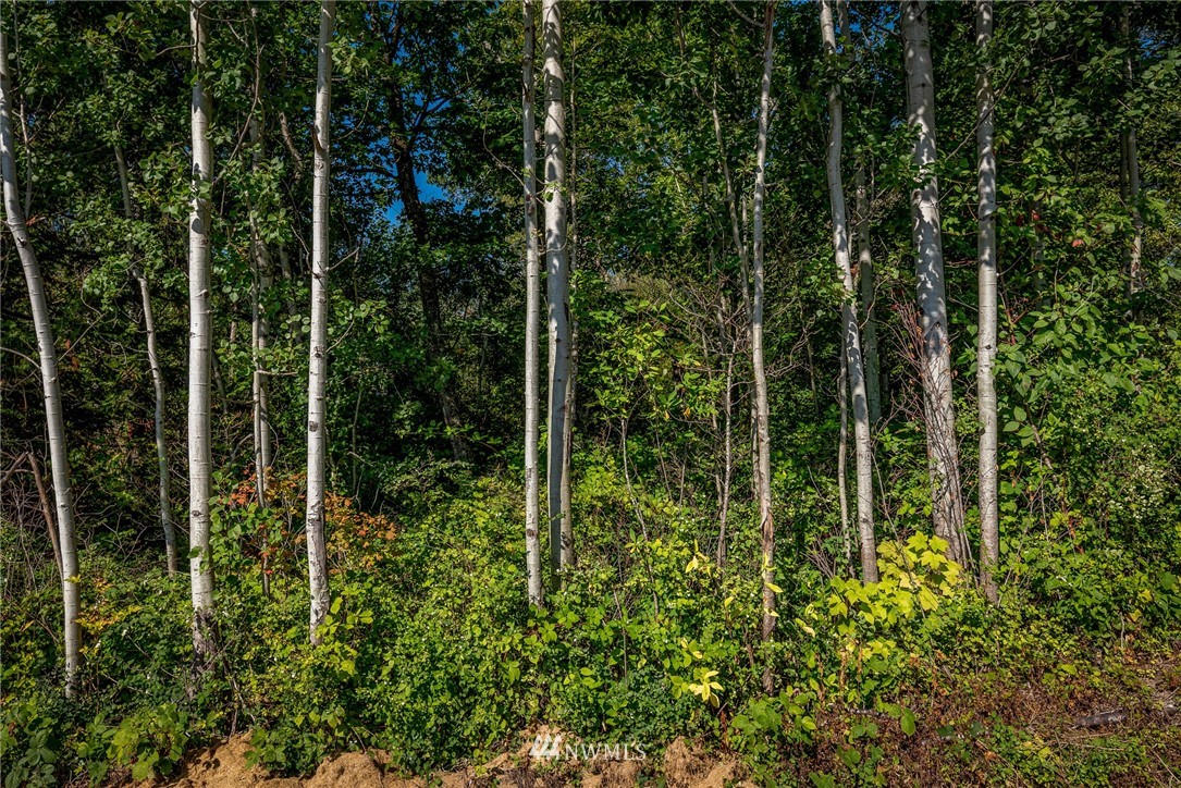 3446 West McLeod Road Bellingham, WA 98225 - Photo 23 of 26 Gallery Image 23