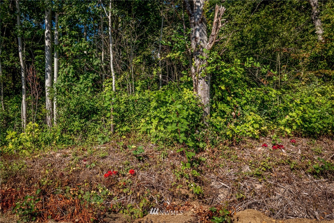 3446 West McLeod Road Bellingham, WA 98225 - Photo 24 of 26 Gallery Image 24