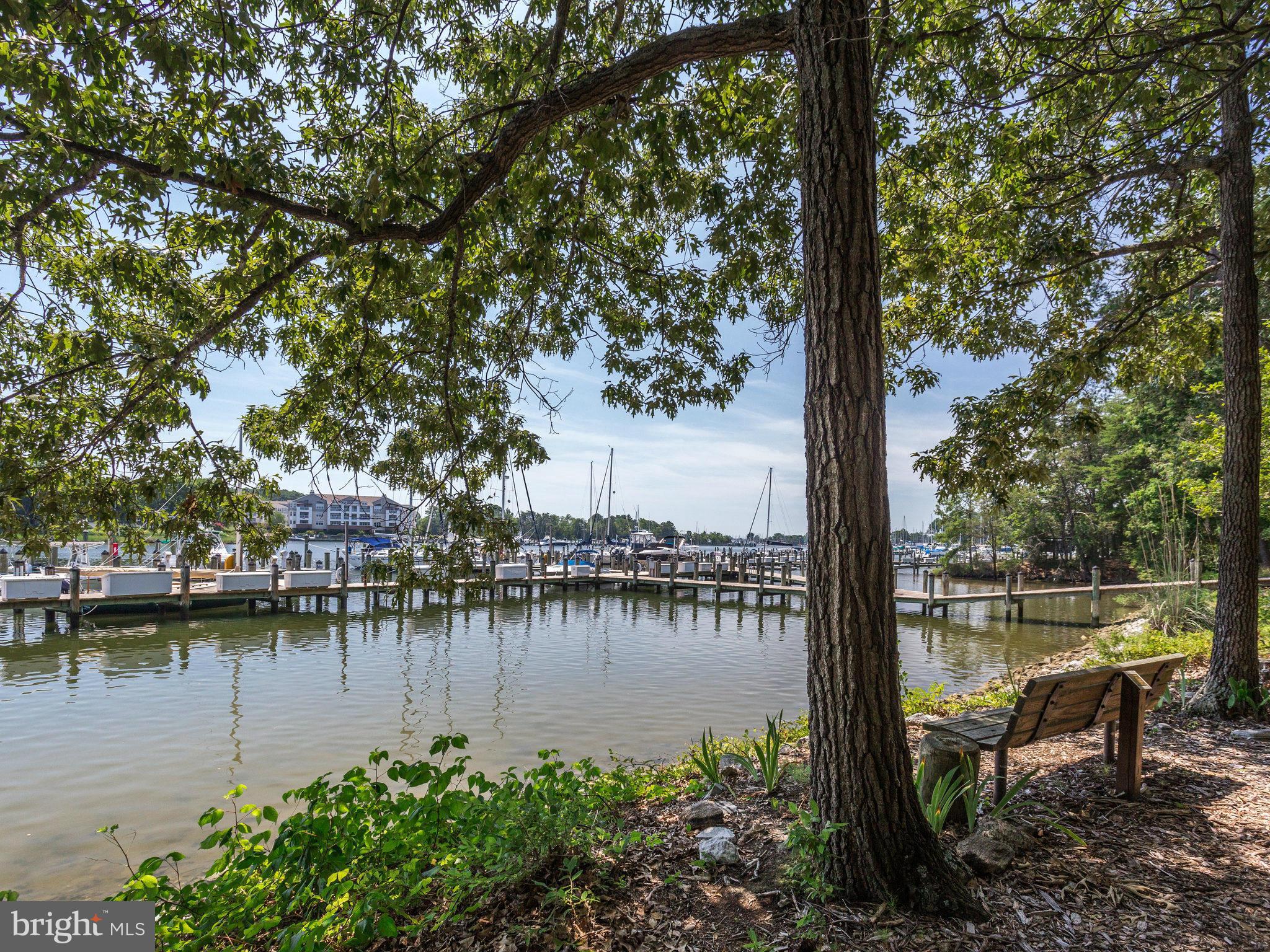 824 Runabout Loop, Unit 824 Solomons, MD 20688 - Photo 25 of 30 Community