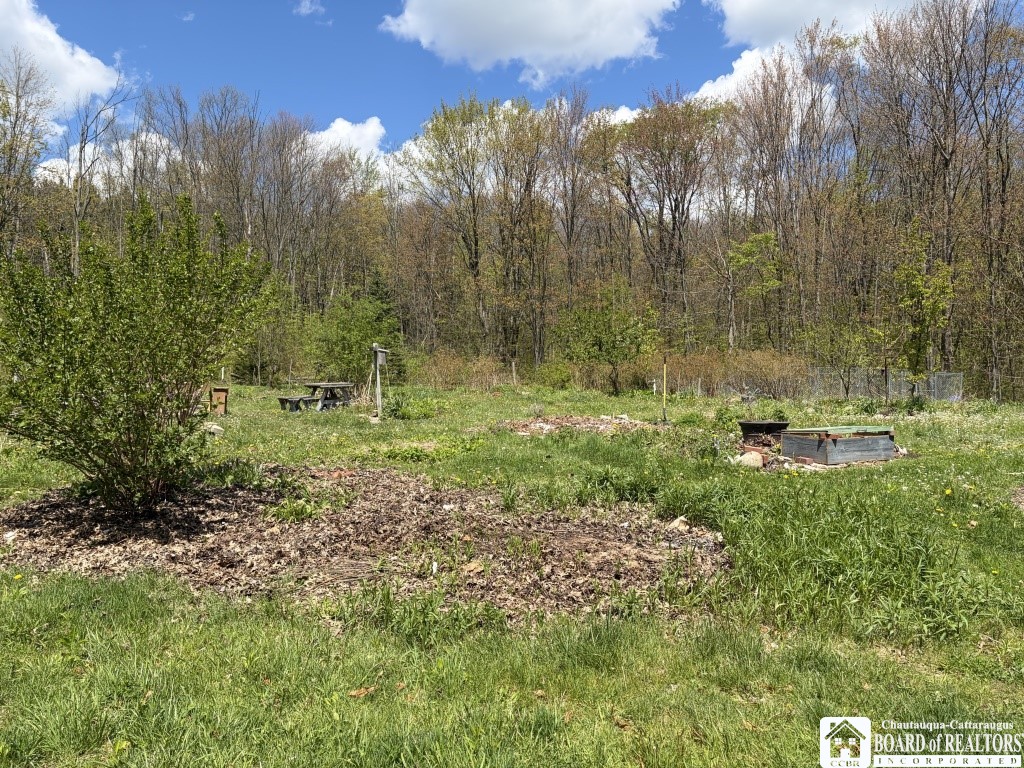 4688 Kortwright Road Busti, NY 14701 - Photo 10 of 39