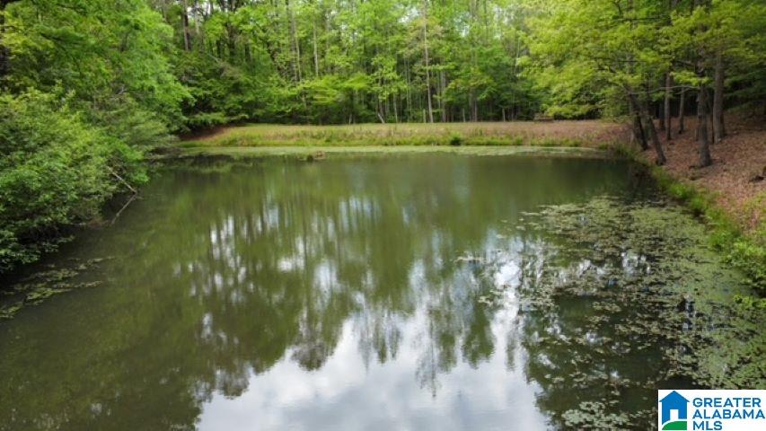 7307 County Road 31 Lineville, AL 36266 - Photo 5 of 30